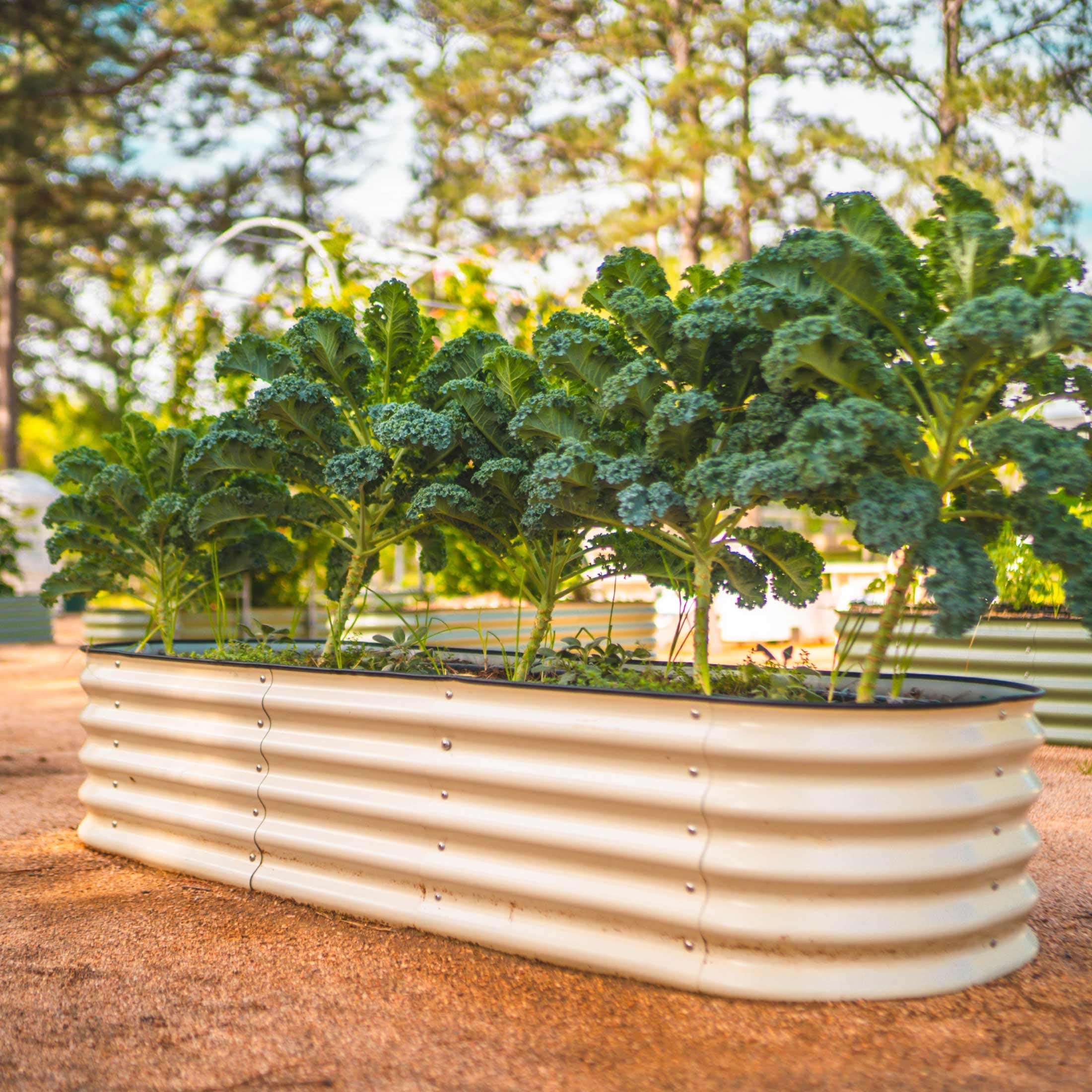 Home & Garden